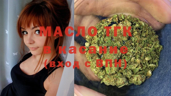 шишки Чегем